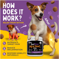 Hip & Joint Repair Chews - New