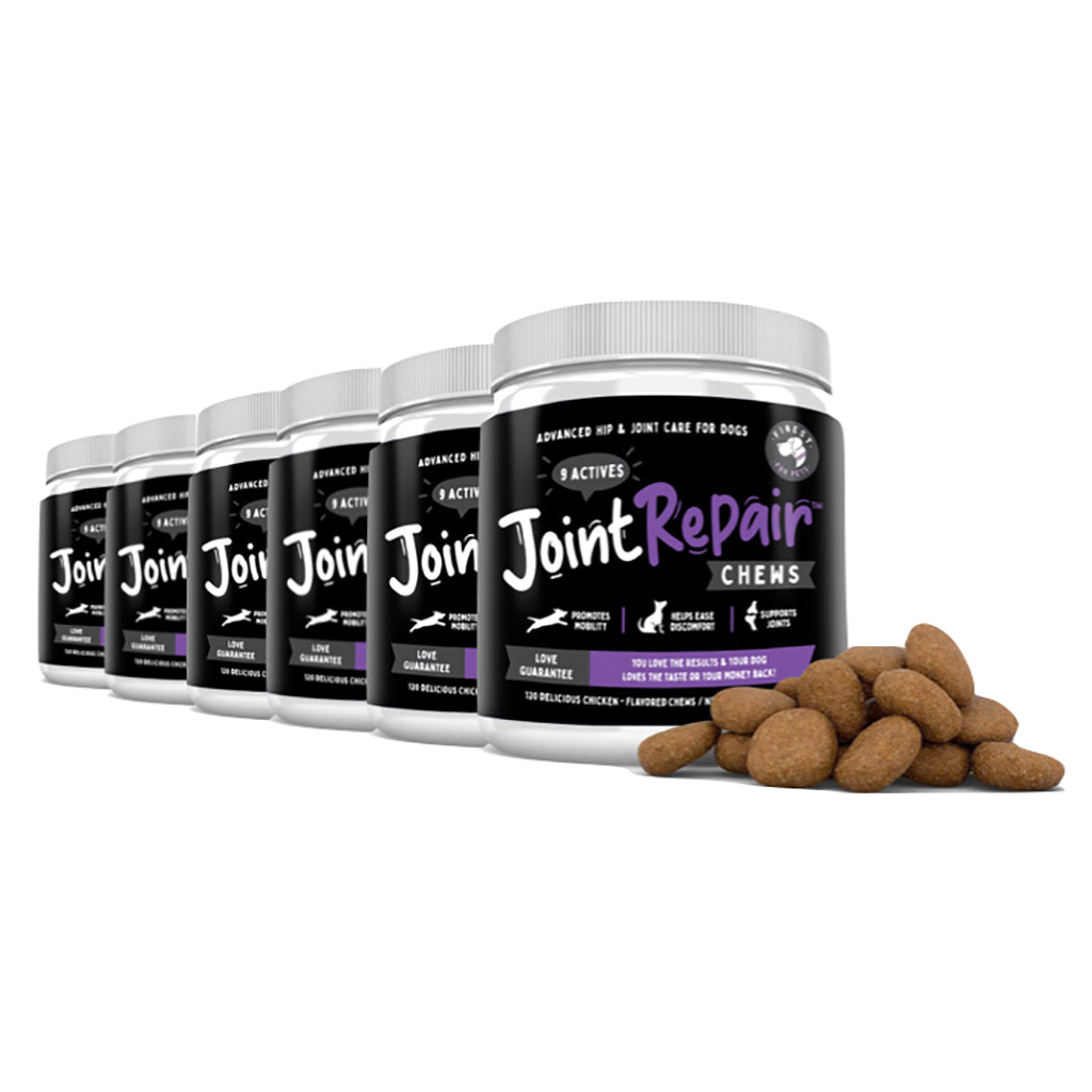 Dog Arthritis Supplement Chews