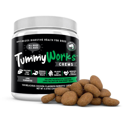 6 Bottles of  TummyWorks Chews 120