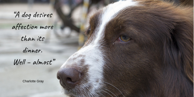 Finest For Pets – Wednesday Quote!