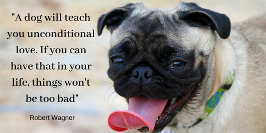 Finest For Pets – Saturday Quote!