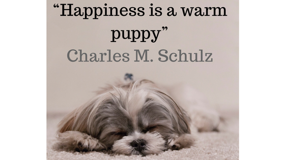 Finest For Pets – Wednesday Quote!