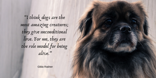 Finest For Pets – Wednesday Quote!