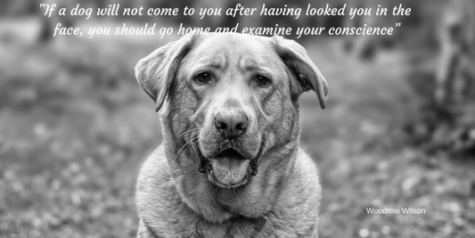 Finest For Pets – Wednesday Quote!