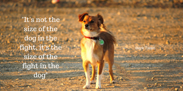 Finest For Pets – Saturday Quote!