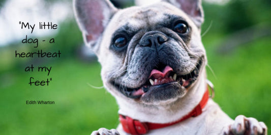 Finest For Pets – Saturday Quote!