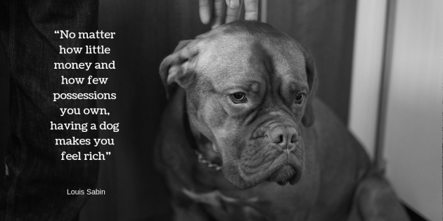 Finest For Pets – Wednesday Quote!
