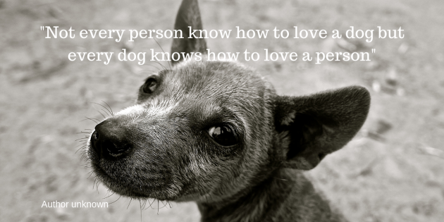 Finest For Pets – Wednesday Quote!