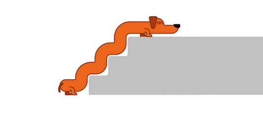 How Painful is Your Home For A Dog With Joint Pain?