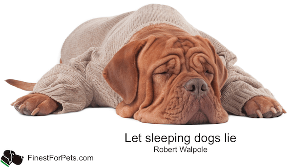 Finest For Pets – Saturday Quote!