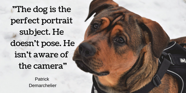 Finest For Pets – Saturday Quote!