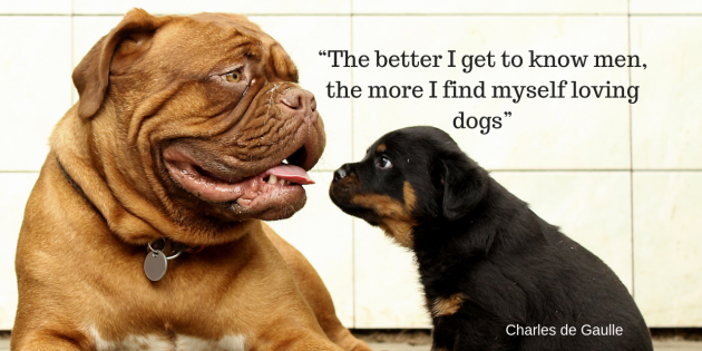 Finest For Pets – Wednesday Quote!