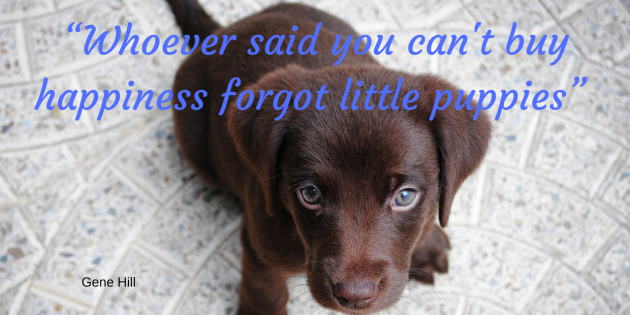 Finest For Pets – Saturday Quote!