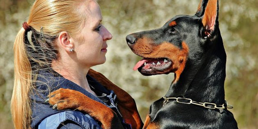 Understanding Your Dogs Body Movements