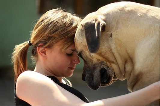 Does Your Dog Lick Your Tears Away?
