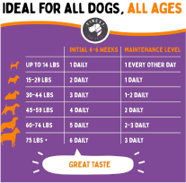 Hip & Joint Repair Chews - New