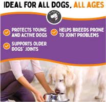 Hip & Joint Repair Chews - New