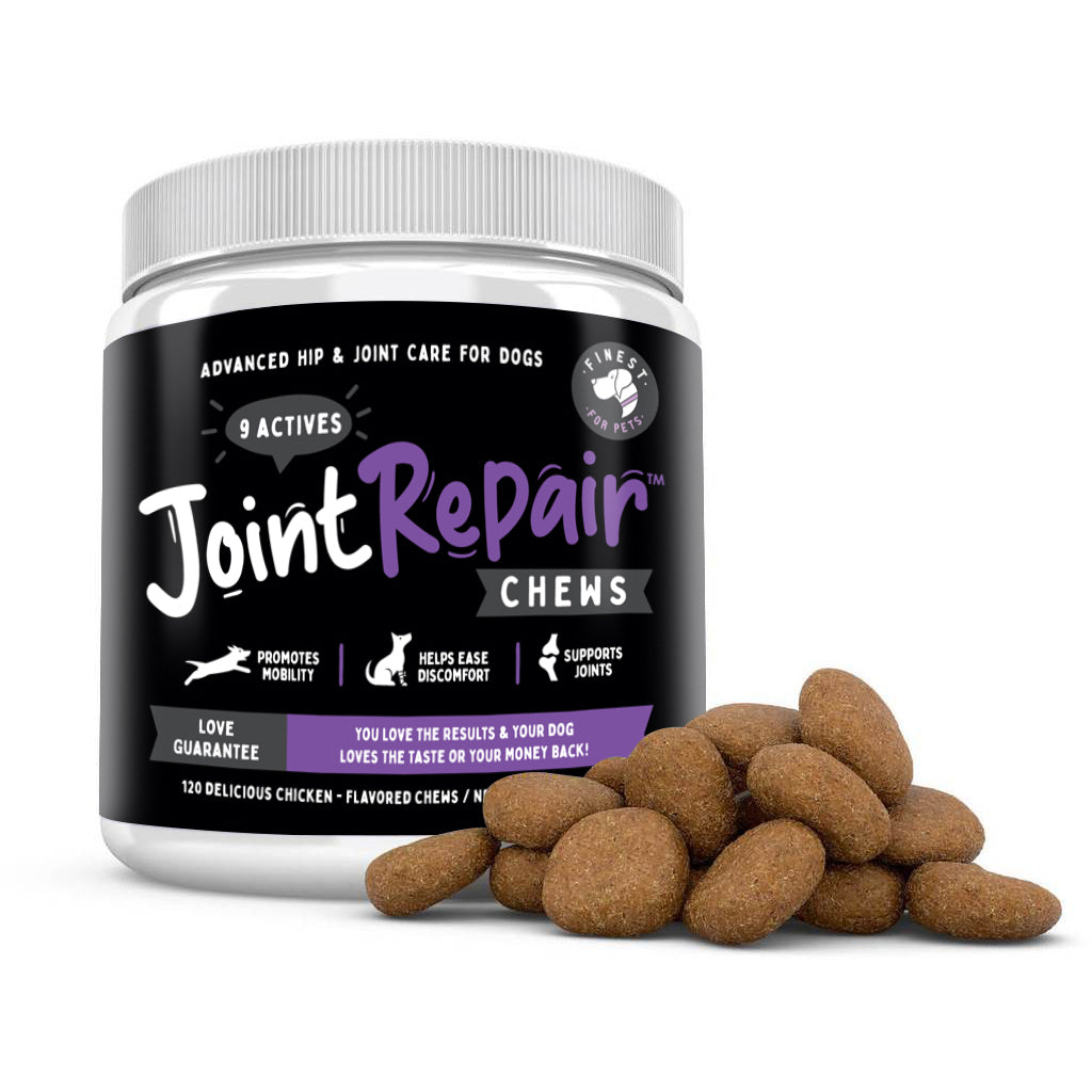 Best Dog Joint Supplement Chews: Top Picks for Healthy Joints