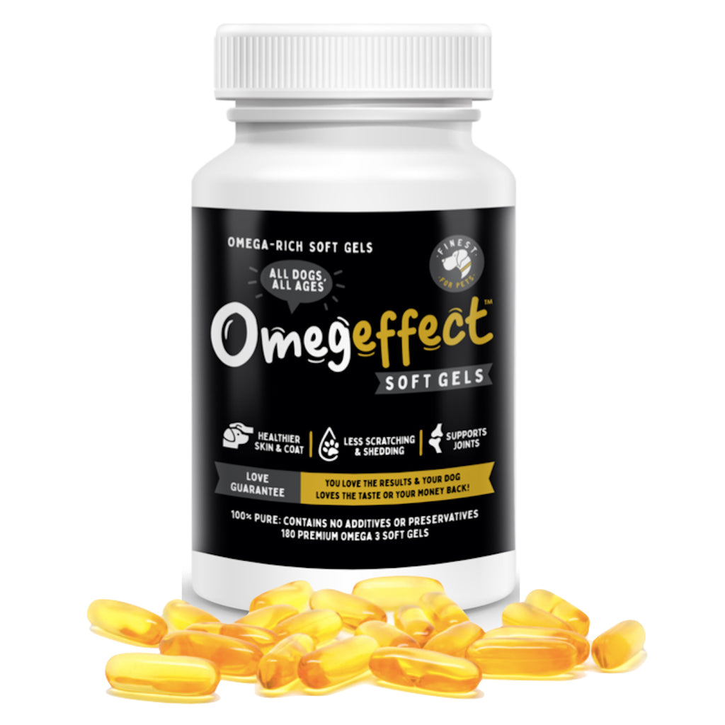 best source of omega 3